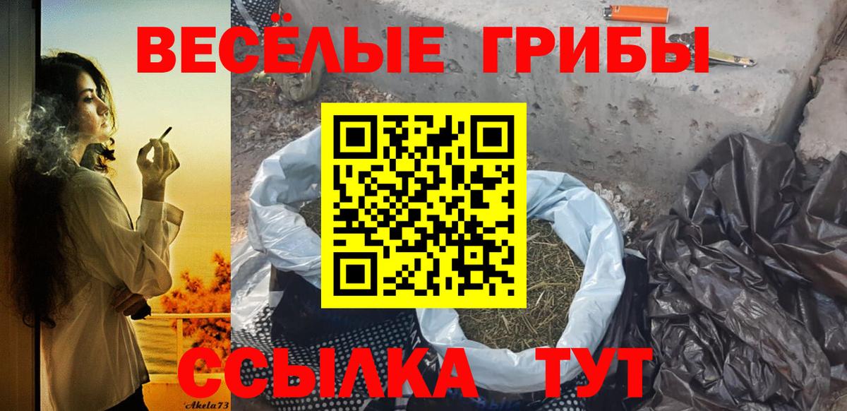 Арсеньев  Галлюциногенные грибы Psilocybe  Вход с VPN 