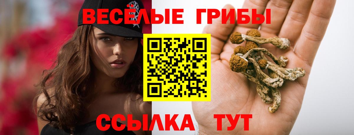 Галлюциногенные грибы Magic Shrooms Арсеньев